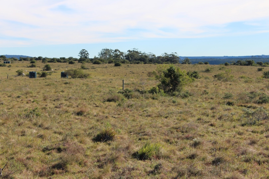 1 Bedroom Property for Sale in Bathurst Rural Eastern Cape